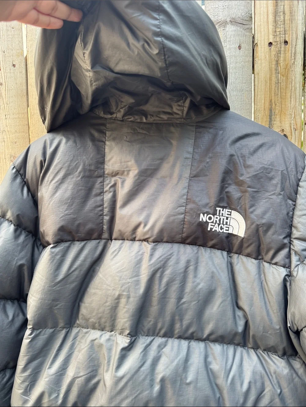 The North Face nuptse  Hooded Puffer Jacket